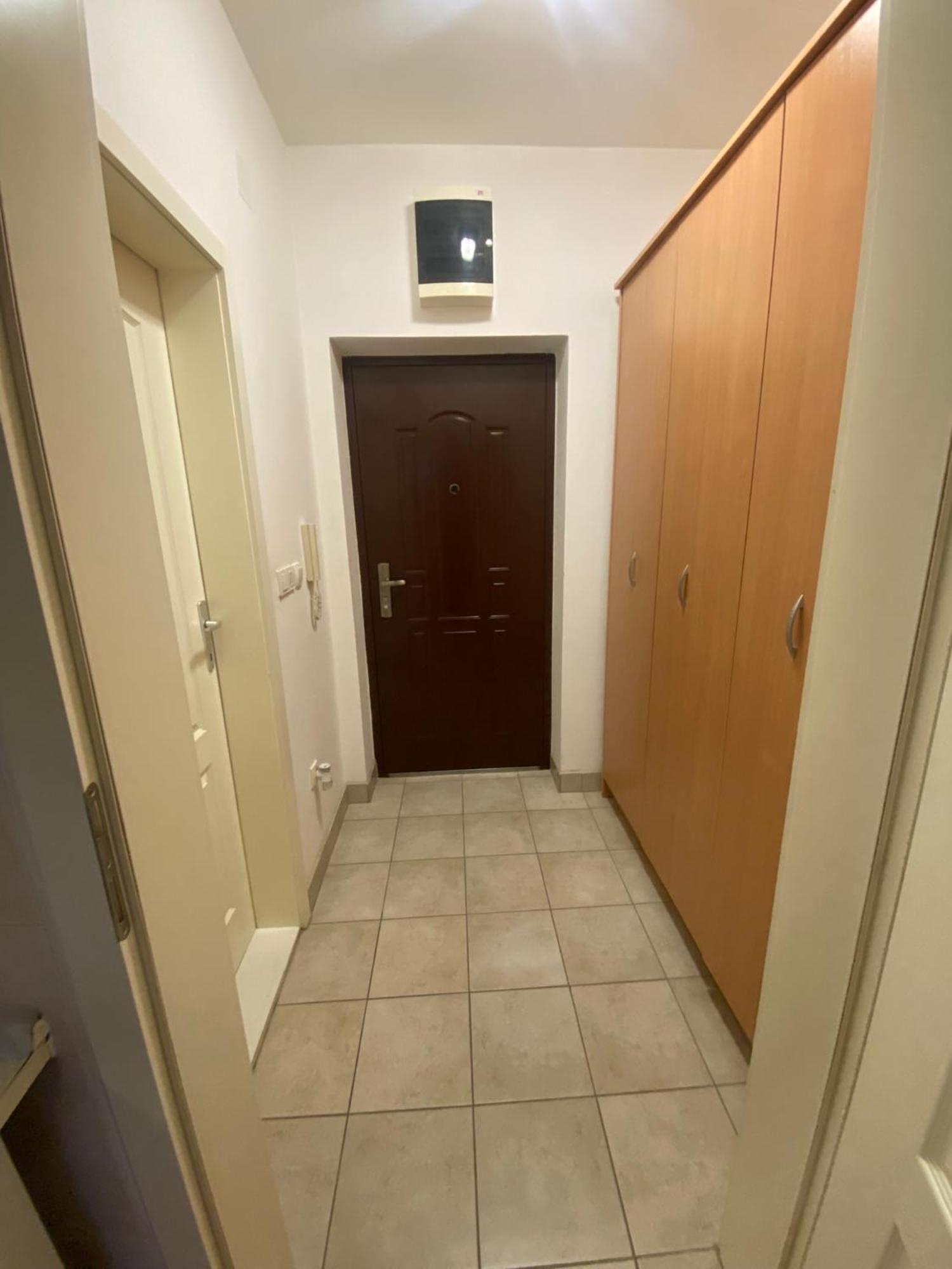 Apartment Victor Banja Koviljaca Bagian luar foto